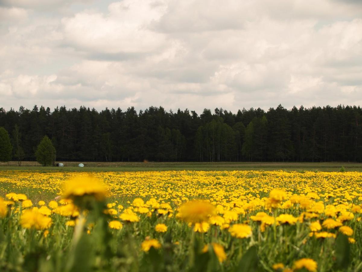 Biebrza24 - Agroturystyka Sztabin Eksteriør bilde