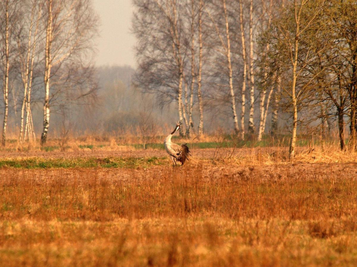 Biebrza24 - Agroturystyka Sztabin Eksteriør bilde